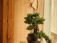 -文三酒肆自助放题(新街口友谊广场店)