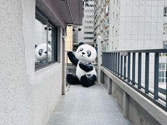 -背包十年青年旅舍(成都太古里春熙路店)