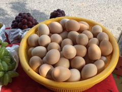 -马陆小张葡萄园农家乐