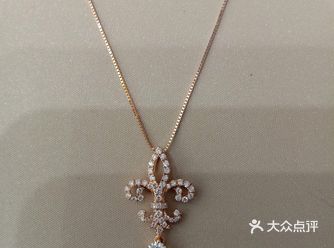 鸢尾花是一种多年生植物,盛开的花非常漂亮