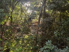 -人民公园(罗湖区)