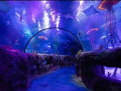 -沈阳海洋探索中心