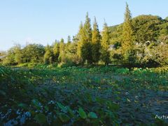 -贵阳市花溪国家城市湿地公园