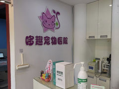 -哆趣宠物医院·眼科·内镜·急重症转诊中心(上海店)