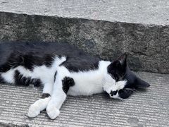 -仓桥直街