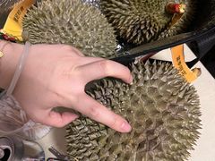 -油麻地果栏