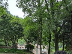 -桃花岭景区