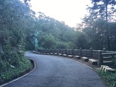 -广州市帽峰山景区