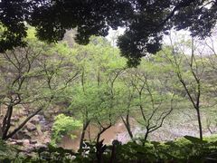 -汉拿树木园
