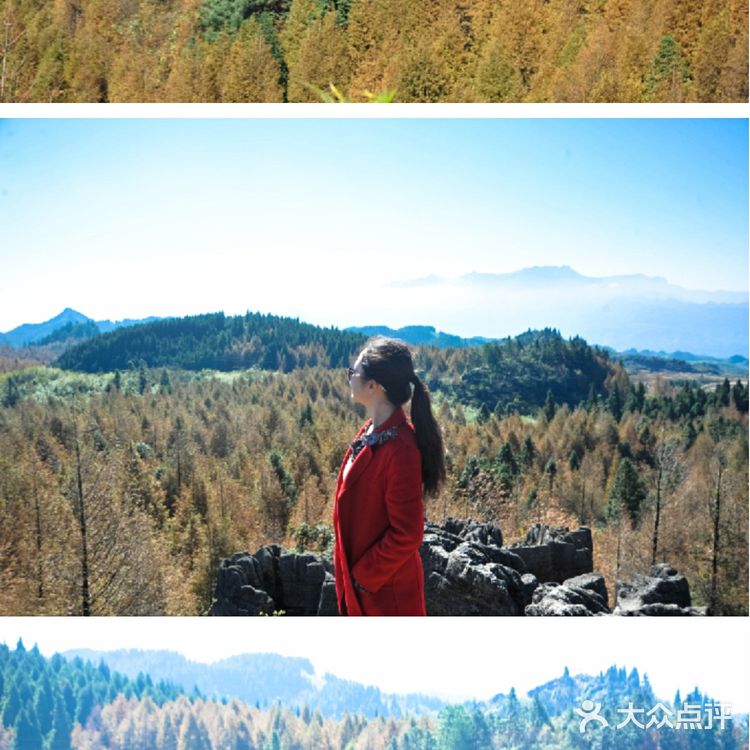 重庆旅游攻略——山王坪,一条路分割夏与秋