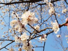 -碓臼峪自然风景区