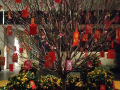 -春晖园度假酒店温泉