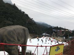 -梦幻奥陶纪景区