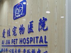 -爱佳宠物中心医院24H·CT·骨外科·猫专科(瑶海万达店)