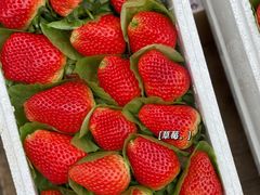 -堤口果品批发市场