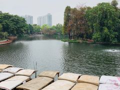 -荔湾湖公园