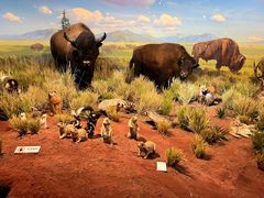 -陕西自然博物馆