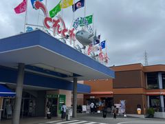 -南纪白浜Toretore市场