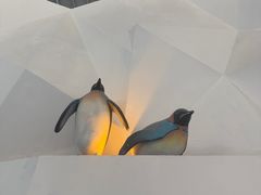 -泉城欧乐堡海洋极地世界