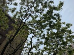 -VESH COFFEE(定西路店)