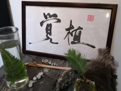-植觉
