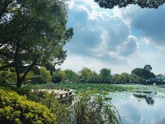 -无锡蠡湖国家湿地公园-蠡园