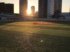 -辽宁省实验中学