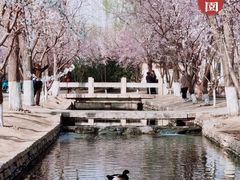-三里河公园