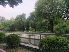 -元大都城垣遗址公园