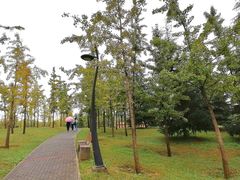 -洨河生态公园
