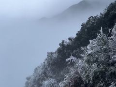 -金子山原生态旅游风景区