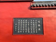 -百脉泉景区