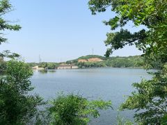 -金龙寺国家森林公园