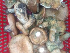 -集贤门·徽菜(南山店)