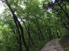 -北京上方山国家森林公园