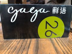 -gaga(深圳南山益田假日广场店)