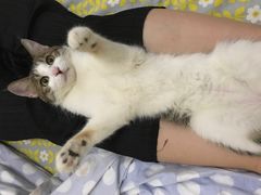-美迦爱-牙专科·兔科·骨科诊疗中心(北苑店)