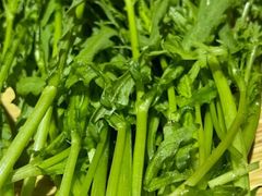 -京嘴儿老北京涮肉(甘家口大厦店)