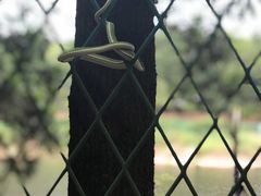 -聚龙山公园