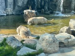 -北京野生动物园