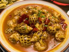 辣椒酒啫花螺-金龙·打边炉(武进路店)