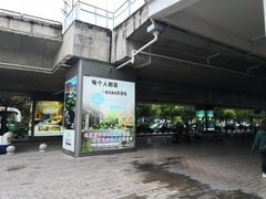 -丽江三义国际机场