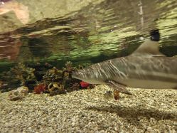 -Zoolung Zoolung动物主题公园(海信广场店)