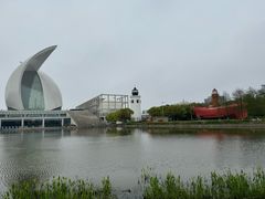 -南汇新城城市公园