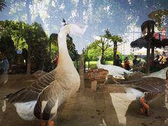 -陕西自然博物馆