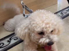 -宠颐生汉谟拉比宠物医院