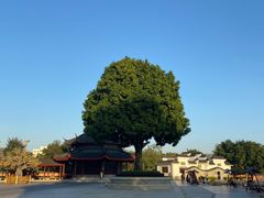 -广东圆玄道观