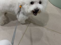 -佳雯宠物医院·皮肤科·内外科(春晓路分院)