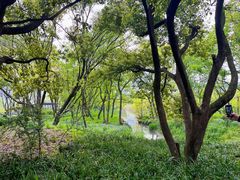 -西湖风景区-江洋畈生态公园