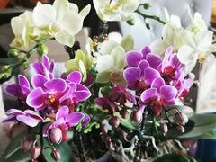 -随意茶庄·地道杭帮农家菜(梅家坞店)